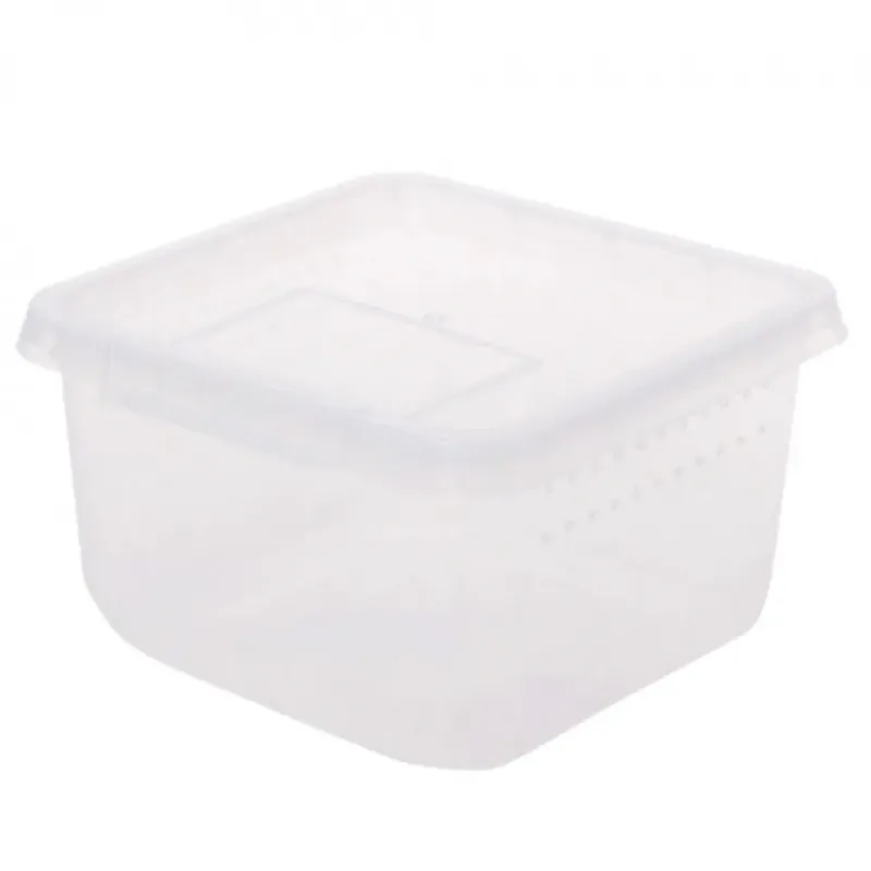 Cenově Výhodný Terrario kompaktní box na hmyz 12x12x7 cm