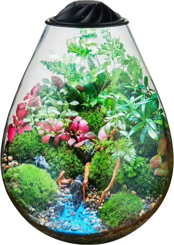 Chihiros Terrarium ECO Ping - miniaturní terarijní set Objednat Nyní