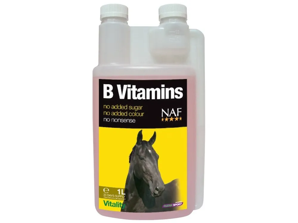 B vitamins pro soustředěnost a vitalitu koní, láhev s dávkovačem 1000 ml Vysoce Kvalitní
