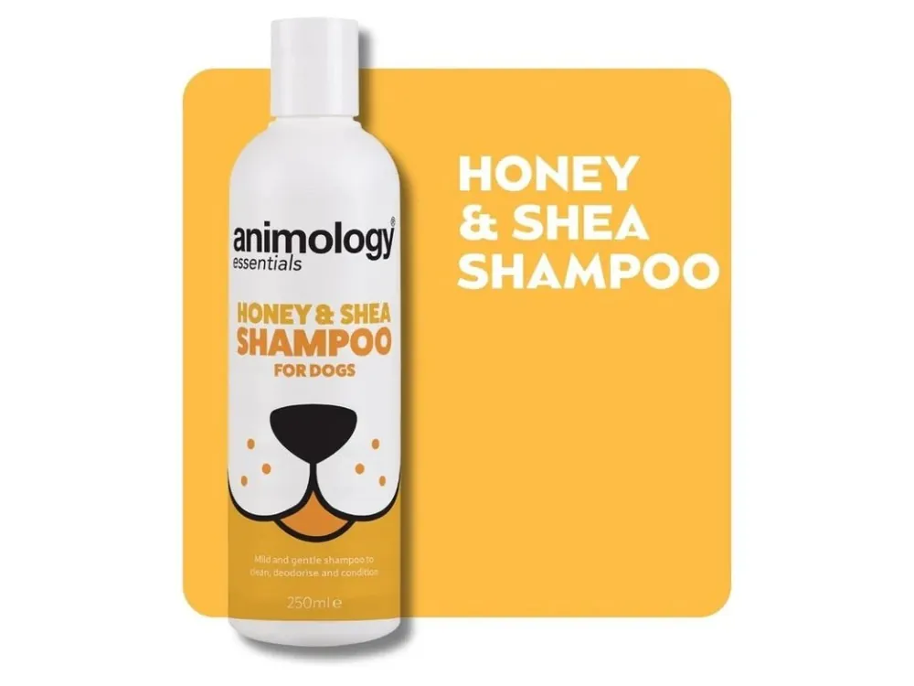 Animology Essentials Šampon pro psy med a bambucké máslo 250ml Nakupujte Hned