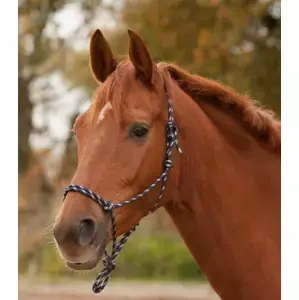 Poslední Šance Provazová ohlávka různé barvy pony,cob,full