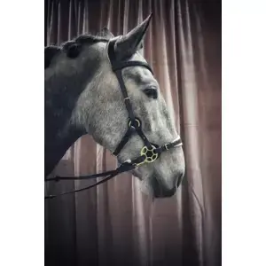 Hackamore uzdečka Bella Masego černá Značkový