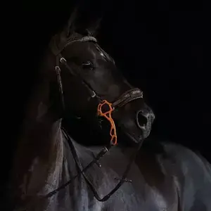 Kožený nánosník k hackamore Acavallo Finální Výprodej