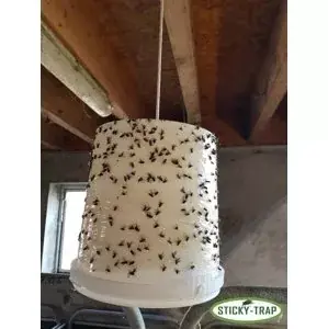 Sticky Trap Bílý kyblík k výrobě pasti na mouchy (Sticky Trap Bílý kyblík k výrobě pasti na mouchy, 3ks) Poslední Šance