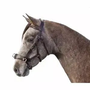 Super Cena Multiuzdečka German Riding 4v1