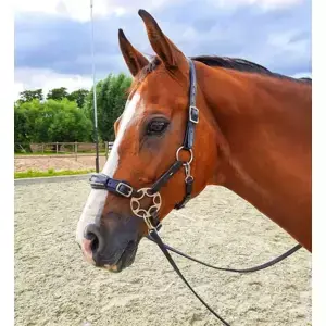 Hit Sezóny Hackamore uzdečka F.R.A. Miranti