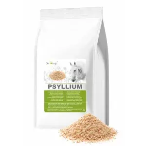 Nejlepší Cena Dromy Psyllium vláknina 1 kg (Dromy Psyllium vláknina 1 kg)