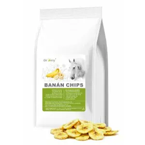 Ihned K Objednání Dromy Banán chips 1 kg (Dromy Banán chips 1 kg)