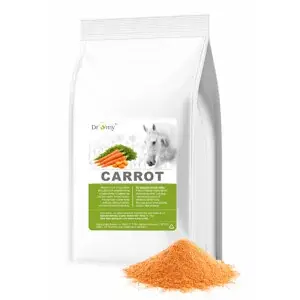 Dromy Mrkev sušená jemná 3,5 kg (Dromy Mrkev sušená jemná 3,5 kg) Výhodná Nabídka