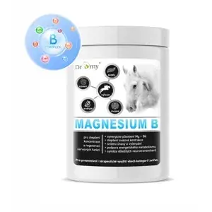 Oblíbený Dromy Magnesium B - 100 - 300 denních dávek . 1 kg - 100 DENNÍCH DÁVEK (Dromy Magnesium B - 100 - 300 denních dávek . 1 kg - 100 DENNÍCH DÁVEK)