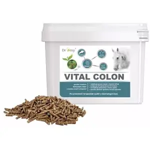 Dromy Vital Colon 3,3 kg (Dromy Vital Colon 3,3 kg) Nízká Cena
