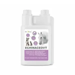 Horká Nabídka Dromy Echinaceový sirup 1 l (Dromy Echinaceový sirup 1 l)