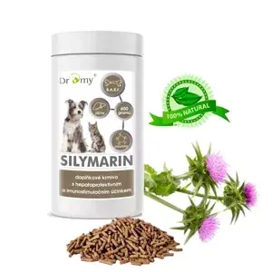 Cenově Výhodný Dromy Silymarin 600 g (Dromy Silymarin 600 g)