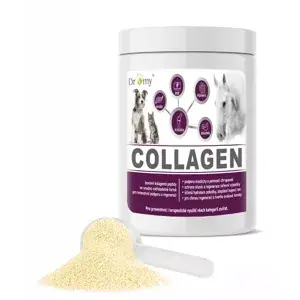 Značkový Dromy Collagen . 900 g 30 DÁVEK (Dromy Collagen . 900 g 30 DÁVEK)