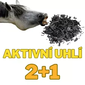 Biochar aktivní uhlí 1,6 kg 2+1 ZDARMA (3x 11 litrové balení hruběji drceného biocharu) Nakupujte Hned