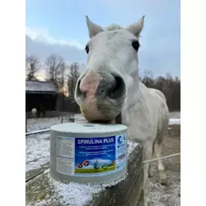 Vysoce Kvalitní Minerální liz z mořské soli se spirulinou bohatou na vitamíny a esenciální živiny (Balení 3 kg) (Speciální receptura se spirulinou bohatou na)