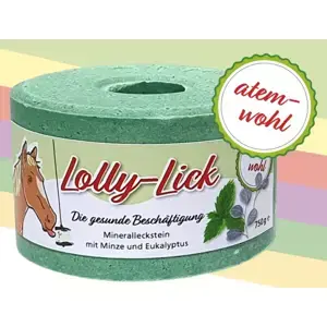 Nejlepší Volba Zdravé lízátko pro koně Lolly Lick, máta a eukalyptus (zdravý liz, který pasuje do držáku Likit)
