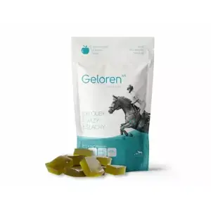 Geloren HA - jablečný 450g (60ks) (Kloubní výživa s chlorellou a koňskou dávkou kyseliny hyaluronové pro zdravé klouby, vazy a šlachy.) Objednat Nyní