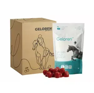 Geloren HA višňový 1350g (180ks) (Kloubní výživa s chlorellou a koňskou dávkou kyseliny hyaluronové pro zdravé klouby, vazy a šlachy.) Nakupujte Hned