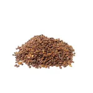 Koupit Online Pískavice řecké seno 0,5 kg