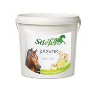 Zázvor zdravý pohybový aparát 1kg (Stiefel Zázvor pro zdravý pohybový aparát, kyblík 1 kg) Nejlepší Volba
