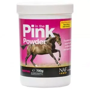 Odeslání Ihned In the Pink powder, probiotika s vitamíny pro skvělou kondici 1,4kg