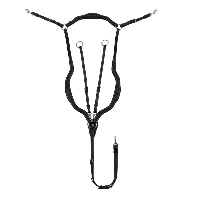 Anatomický kožený poprsník EQUESTRO Kup Teď