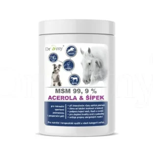 Poslední Šance Dromy MSM + Acerola se šípkem - Velikost 200g