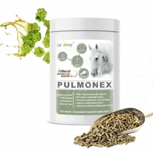 Víkendová Akce Dromy Pulmonex 1,5 kg
