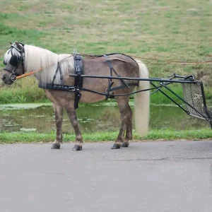 Poprsní postroj STAR Economic - Pony a Shetty - Barva černáRozměr MSH (Mini Shetty) Akční Nabídka