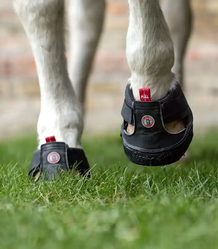 Trekingové botičky Equine Fusion® - Velikost 8 Víkendová Akce