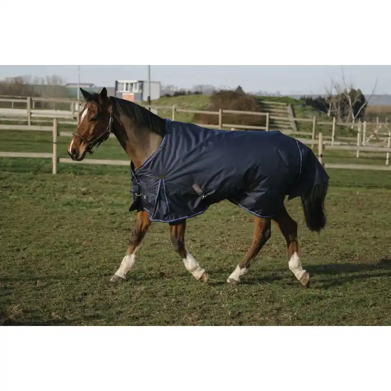 Hit Sezóny Nepromokavá deka EQUITHÈME CLASSIC 600D 100g - Velikost 155 cm (206)