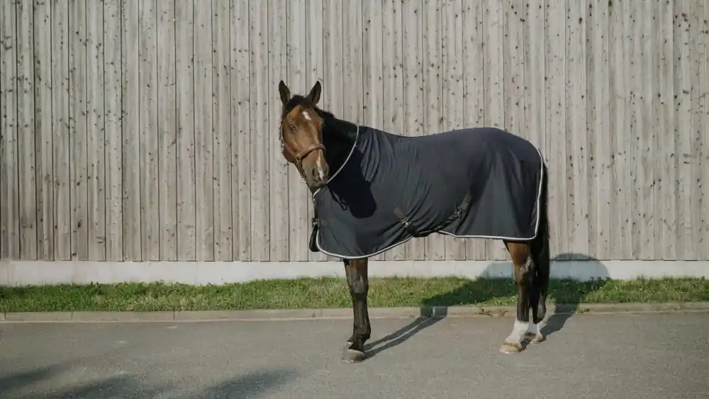 Autentický Odpocovací deka Equitheme Drycool Standard - Barva Tmavě modráVelikost 145 cm