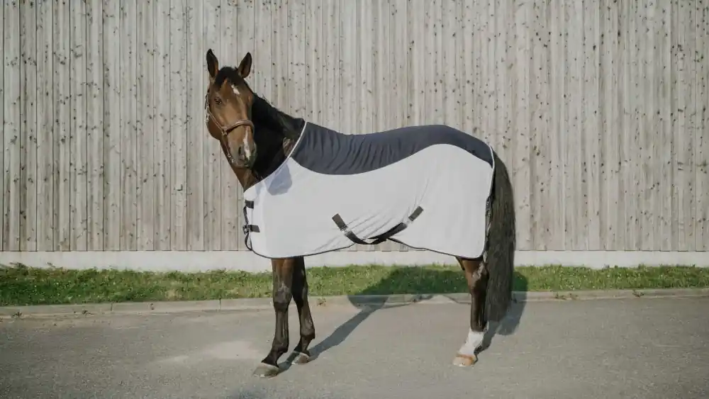 Cenová Bomba Síťová deka s plnými zády Equitheme Flycool Standard - Barva Tmavě modráVelikost 150 cm