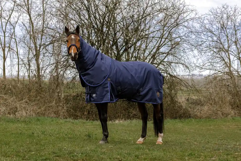 Akce Nepromokavá deka pro koně EQUITHÈME Classic 3 Layers 135cm
