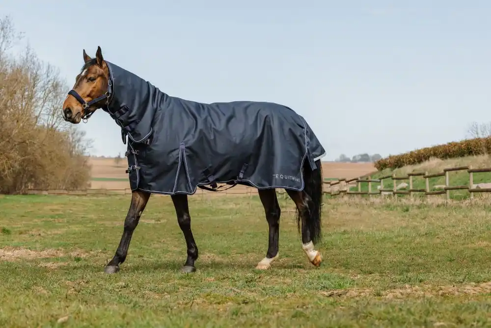 Vysoce Kvalitní Nepromokavá deka pro koně s krčním dílem EQUITHÈME Anatomic Combo 1200D 200g