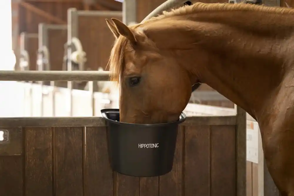 Žlab pro koně HIPPOTONIC - Barva Černá Nová Kolekce