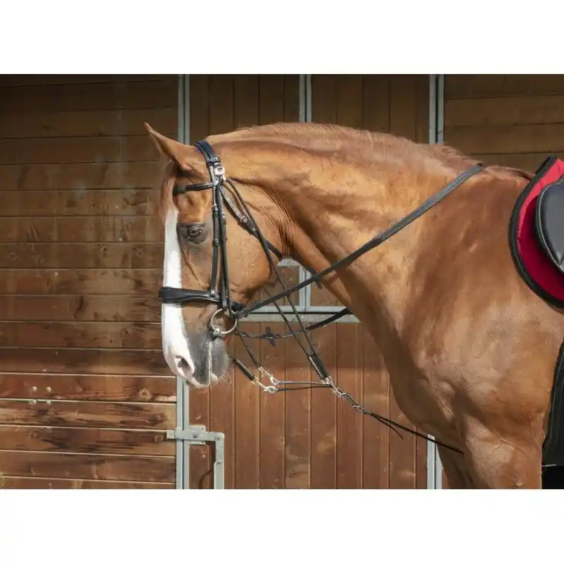 Gogue NORTON PRO - Barva HnědáVelikost PONY Top Prodej