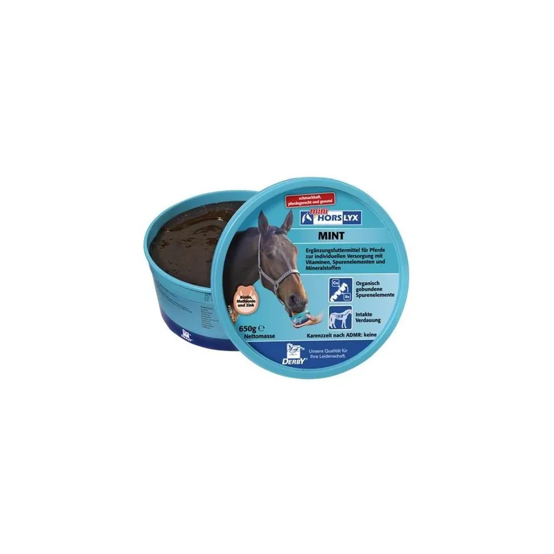 Liz pro koně Horslyx Mint - 650 g Top Prodej