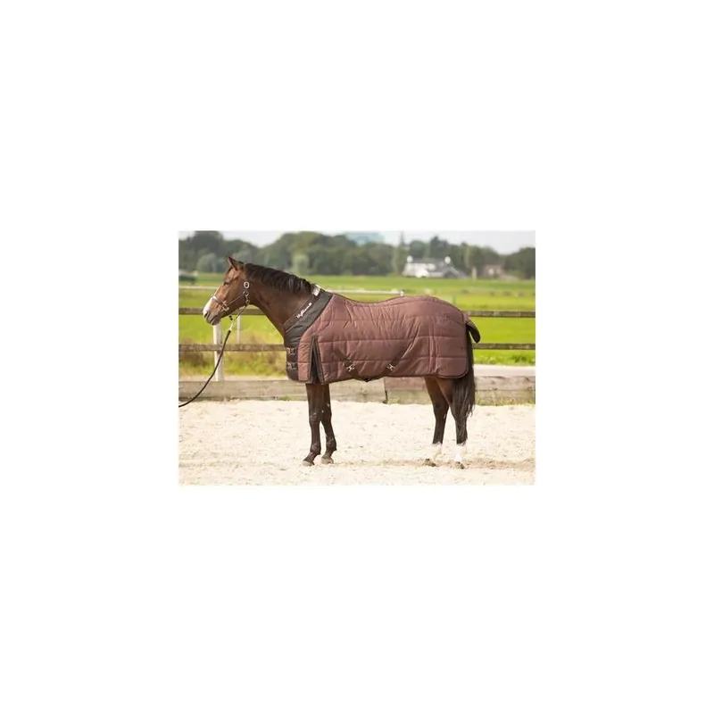 Must-Have Stájová deka Harrys Horse 200g, vínová