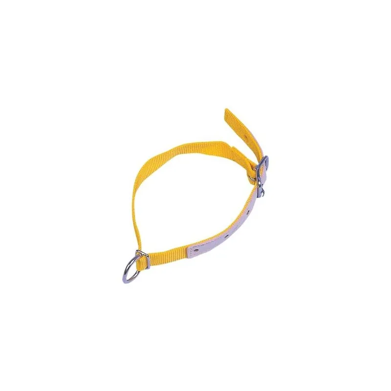 Řemen pro ovce a kozy 60 cm Akční Nabídka