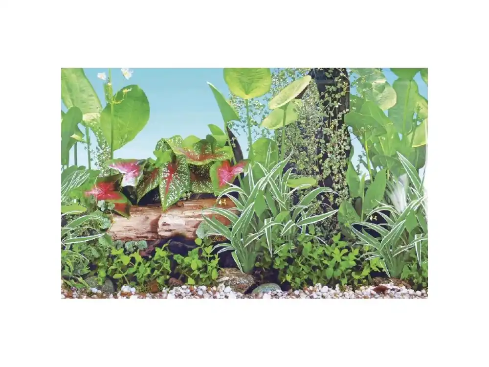 Akvarijní pozadí GRASSY, 71x1500cm Horká Nabídka