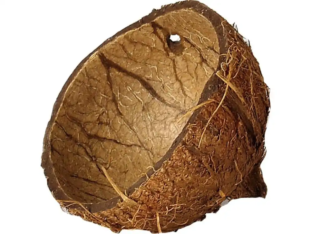 Coco skořápka Bezpečná Platba