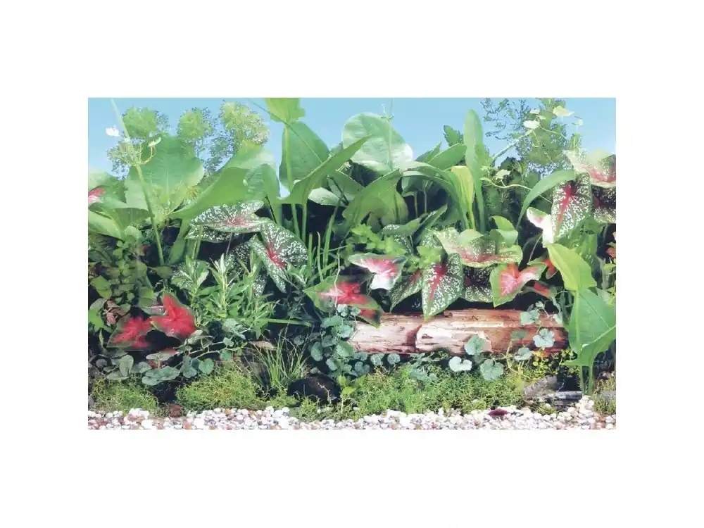 Aktuální Akvarijní pozadí PEARL, 71x1500cm