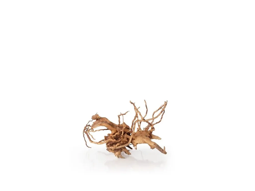 Finální Výprodej Spider Wood S, 20-30cm