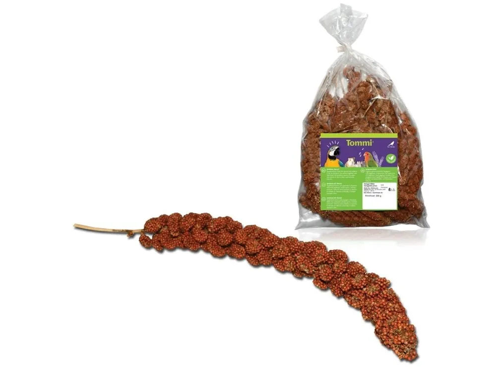 Senegalské proso červené, 200g Poslední Šance