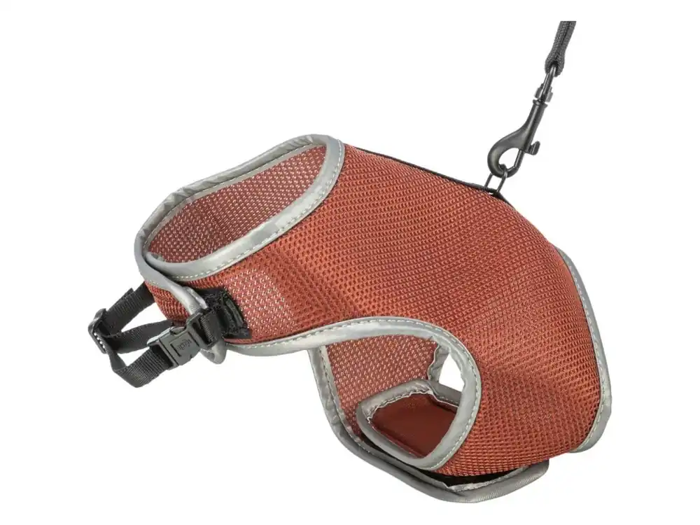 Časově Omezené Postroj VESTA s vodítkem pro kočku 24-42 cm/1,20 m, rezavá