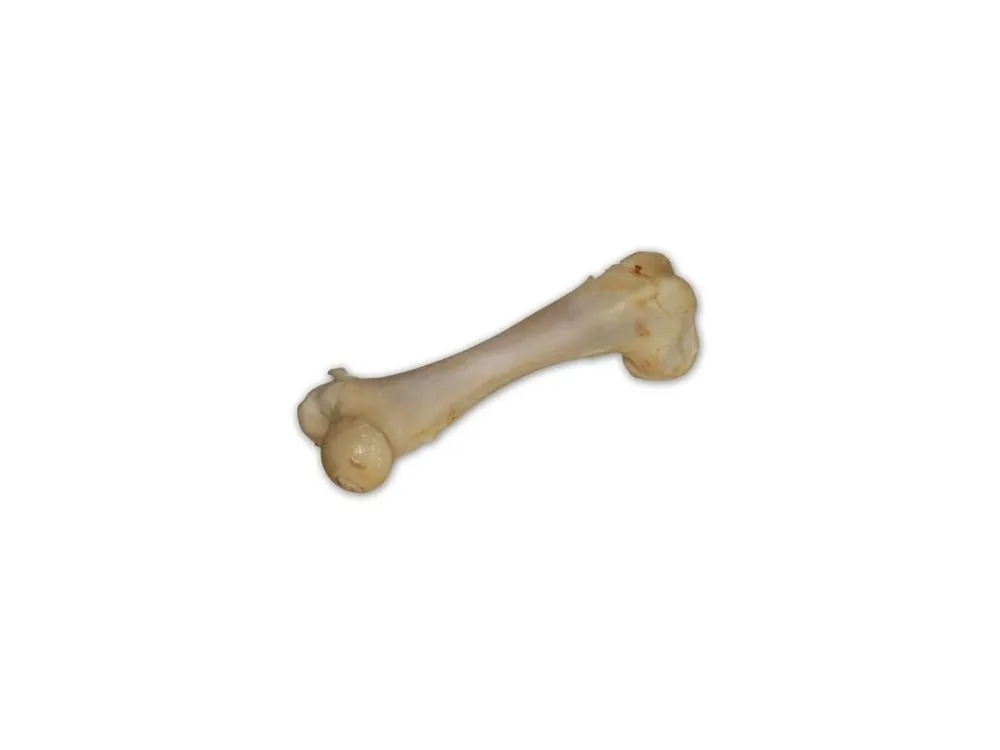 Vepřová kost bílá - extrudovaná 1 ks/17 cm Ověřený