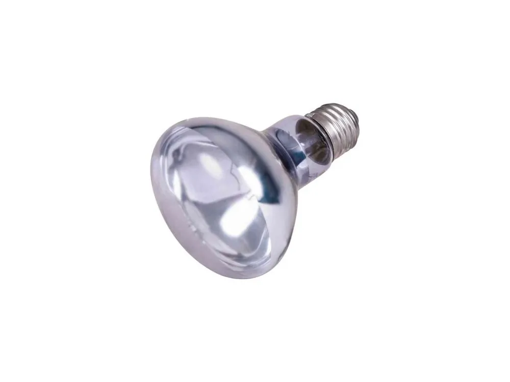 Výhodná Nabídka Neodymium Basking-Spot-Lamp